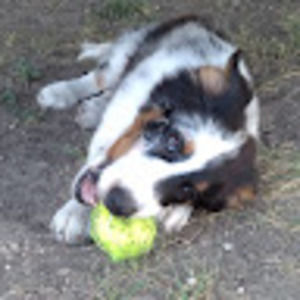 Meet your Posher, Seirra